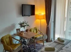 Apartment Rosa Brandis