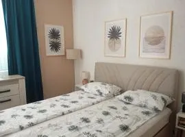 Apartman Radanović