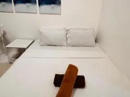 Elegant Room with Relaxing Ambiance