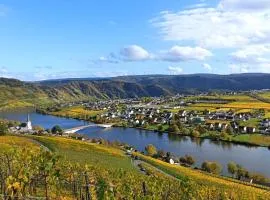 Ferienwohnung mit Blick auf die Moselloreley