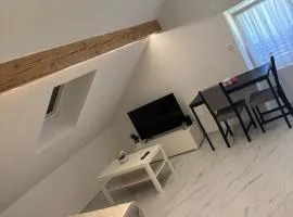 Studio Alma