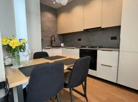 New apartment near the PALM tree