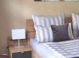 City-Appartement Pirna