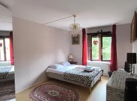 Rum nära centrum i Göteborg