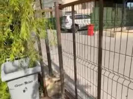 Garden Mini