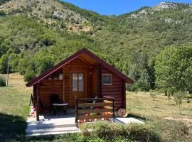Wooden house