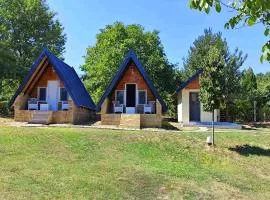 Dunavska Priča