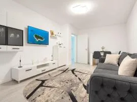 A B V Central Apartament