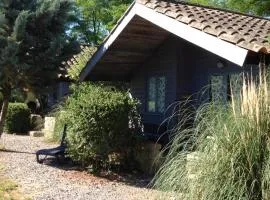 Chalet #15, 4 pers, Domaine De Ribiere