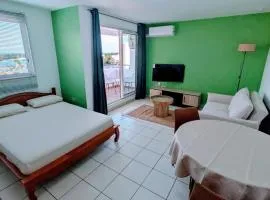 Studio 39m2 vue mer & parking privé