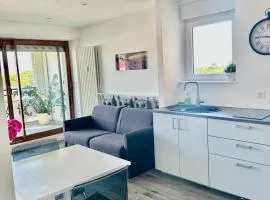 Appartement 3 pièces 75 m2 près arrêt tram Strasbourg