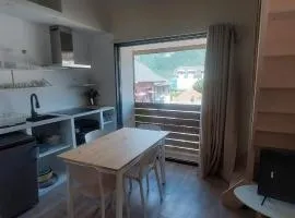 Appartement 4 personnes avec mezzanine 100 metres du lac