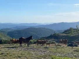 House of Serra da Cabreira