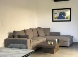 Modern apartment