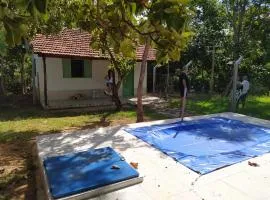Cachoeira das andorinhas