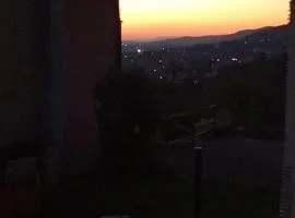 Jarcedoli
