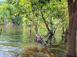 Refúgio na Floresta