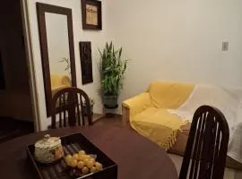 Apto Fofo com Natureza em Serra Negra