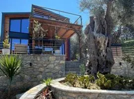 Villa Tramonto D'Oro