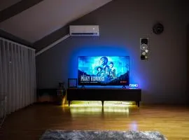Apartment 44