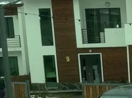 Home in Bakuriani, Georgia