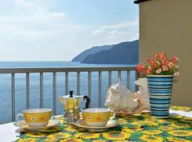 House Agave by Holiday World