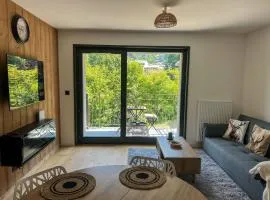 Luxurious flat at St Gervais