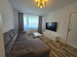 Best Apartament Central 2