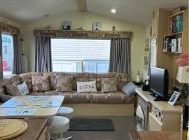 M15 Meadow View Golden palm