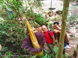 Batu Katak - Zoey's Homestay, hotel en Timbanglawang