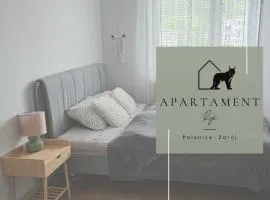 Apartament RYŚ Polanica Zdrój