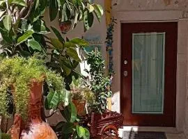 A CASA MIA