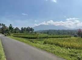 Buana Asti Room and Warung with Rice Field view