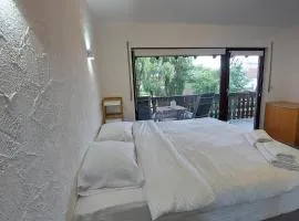 Cozy apartment near the Rhine