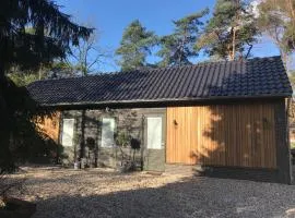 ForRest Suites