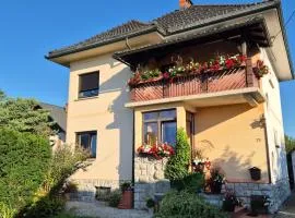 Vila Moka near Bled-Entire place with Garden Retreat