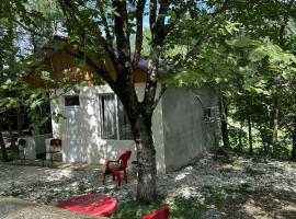 Martvili Canyon Cottage in the Forest