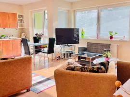 Apartment KLENOT