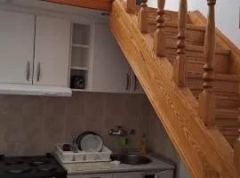 Apartment Vidikovac
