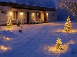 3 Bedrooms House Sauna and Activities Guide