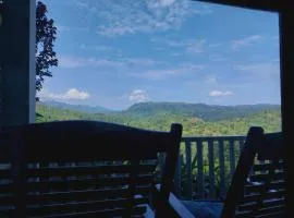 Rainforest Nature House