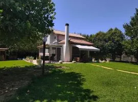 Oasi Loft