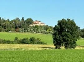 Torre di Viepri