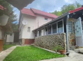 cabana din vale