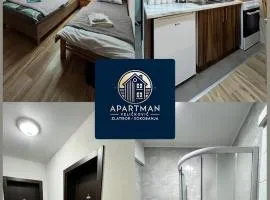 Apartman Veličković Sokobanja