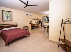 Spacious Loft and Large Bath Casa Jurel