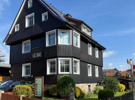 Villa Gesine, hotel in Braunlage