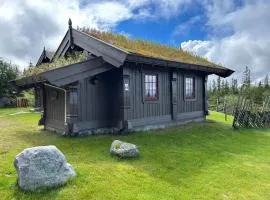 Sleepover in the mountains