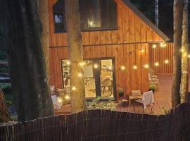 Dadaj Chill 2 domek nad jeziorem, wanna jakuzzi, fotel masujący, Hotel in Wilimy