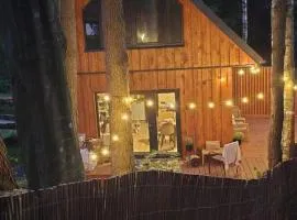 Dadaj Chill 2 domek nad jeziorem, wanna jakuzzi, fotel masujący